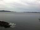 ./images/koeye/fitz-hugh/20161118/fitz-hugh20161118_080002.jpg