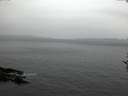 ./images/koeye/fitz-hugh/20161119/fitz-hugh20161119_080002.jpg