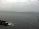 ./images/koeye/fitz-hugh/20161120/fitz-hugh20161120_120001.jpg