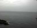 ./images/koeye/fitz-hugh/20161120/fitz-hugh20161120_121501.jpg
