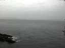 ./images/koeye/fitz-hugh/20161120/fitz-hugh20161120_121801.jpg