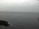 ./images/koeye/fitz-hugh/20161120/fitz-hugh20161120_122101.jpg