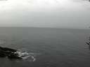 ./images/koeye/fitz-hugh/20161120/fitz-hugh20161120_122402.jpg