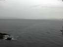 ./images/koeye/fitz-hugh/20161120/fitz-hugh20161120_140002.jpg