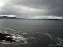 ./images/koeye/fitz-hugh/20161122/fitz-hugh20161122_122101.jpg