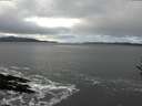 ./images/koeye/fitz-hugh/20161122/fitz-hugh20161122_122702.jpg