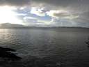 ./images/koeye/fitz-hugh/20161122/fitz-hugh20161122_140003.jpg