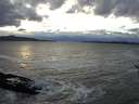./images/koeye/fitz-hugh/20161123/fitz-hugh20161123_160001.jpg