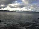./images/koeye/fitz-hugh/20161124/fitz-hugh20161124_122402.jpg