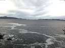./images/koeye/fitz-hugh/20161125/fitz-hugh20161125_080002.jpg