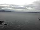 ./images/koeye/fitz-hugh/20161126/fitz-hugh20161126_080002.jpg