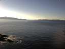 ./images/koeye/fitz-hugh/20161126/fitz-hugh20161126_140003.jpg