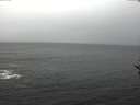 ./images/koeye/fitz-hugh/20161127/fitz-hugh20161127_121502.jpg