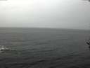 ./images/koeye/fitz-hugh/20161127/fitz-hugh20161127_122102.jpg