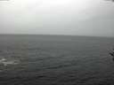 ./images/koeye/fitz-hugh/20161127/fitz-hugh20161127_122402.jpg
