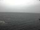 ./images/koeye/fitz-hugh/20161127/fitz-hugh20161127_122703.jpg
