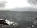 ./images/koeye/fitz-hugh/20161202/fitz-hugh20161202_080002.jpg