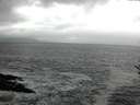 ./images/koeye/fitz-hugh/20161203/fitz-hugh20161203_100001.jpg