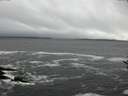 ./images/koeye/fitz-hugh/20161204/fitz-hugh20161204_121803.jpg