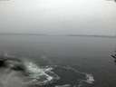 ./images/koeye/fitz-hugh/20161205/fitz-hugh20161205_080002.jpg