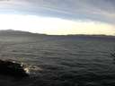 ./images/koeye/fitz-hugh/20161208/fitz-hugh20161208_120001.jpg