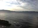 ./images/koeye/fitz-hugh/20161208/fitz-hugh20161208_140002.jpg