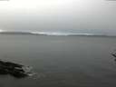 ./images/koeye/fitz-hugh/20161209/fitz-hugh20161209_121503.jpg