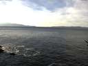 ./images/koeye/fitz-hugh/20161211/fitz-hugh20161211_122101.jpg