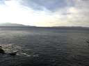 ./images/koeye/fitz-hugh/20161211/fitz-hugh20161211_122401.jpg