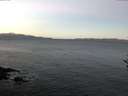 ./images/koeye/fitz-hugh/20161212/fitz-hugh20161212_080003.jpg