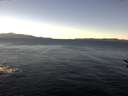 ./images/koeye/fitz-hugh/20161212/fitz-hugh20161212_121803.jpg