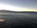 ./images/koeye/fitz-hugh/20161212/fitz-hugh20161212_122703.jpg