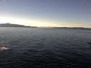 ./images/koeye/fitz-hugh/20161214/fitz-hugh20161214_122103.jpg