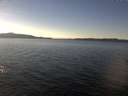 ./images/koeye/fitz-hugh/20161214/fitz-hugh20161214_140003.jpg
