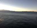 ./images/koeye/fitz-hugh/20161215/fitz-hugh20161215_122402.jpg