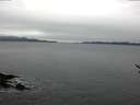 ./images/koeye/fitz-hugh/20161217/fitz-hugh20161217_122103.jpg