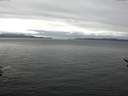 ./images/koeye/fitz-hugh/20161217/fitz-hugh20161217_140002.jpg
