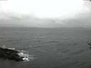 ./images/koeye/fitz-hugh/20161218/fitz-hugh20161218_080002.jpg