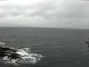 ./images/koeye/fitz-hugh/20161218/fitz-hugh20161218_122702.jpg