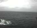 ./images/koeye/fitz-hugh/20161218/fitz-hugh20161218_140002.jpg