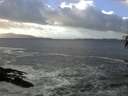 ./images/koeye/fitz-hugh/20161220/fitz-hugh20161220_120001.jpg