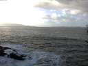 ./images/koeye/fitz-hugh/20161220/fitz-hugh20161220_122402.jpg