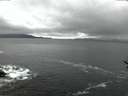 ./images/koeye/fitz-hugh/20161222/fitz-hugh20161222_080002.jpg