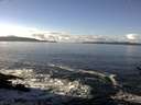 ./images/koeye/fitz-hugh/20161222/fitz-hugh20161222_121802.jpg