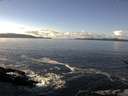 ./images/koeye/fitz-hugh/20161222/fitz-hugh20161222_122103.jpg