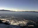 ./images/koeye/fitz-hugh/20161223/fitz-hugh20161223_121503.jpg