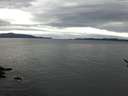 ./images/koeye/fitz-hugh/20161225/fitz-hugh20161225_120001.jpg