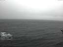 ./images/koeye/fitz-hugh/20161226/fitz-hugh20161226_121801.jpg