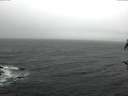 ./images/koeye/fitz-hugh/20161226/fitz-hugh20161226_122702.jpg