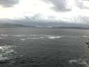 ./images/koeye/fitz-hugh/20161227/fitz-hugh20161227_121503.jpg
